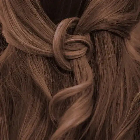 Nahaufnahme Braids Zopf Frisur mit warmem Marokko Braun Haarfarbe