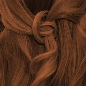 warm chestnut Brown