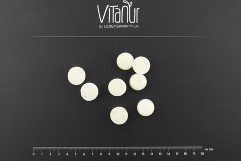 Sieben weiße Bio Zahnkristalle Xylit Orange von VITANUR auf schwarzem Hintergrund mit Maßstab