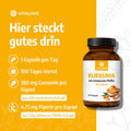 Kurkuma Forte 100 Kapseln – Dose