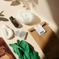 Haarkur-Set mit braunem Fläschchen, grüne Einweghandschuhe, Watte, Papierbeutel und Zubehör auf hellem Hintergrund.