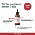 Infografik zu Vitamin B12 und seinen Funktionen für Energiestoffwechsel, Nerven und Immunsystem